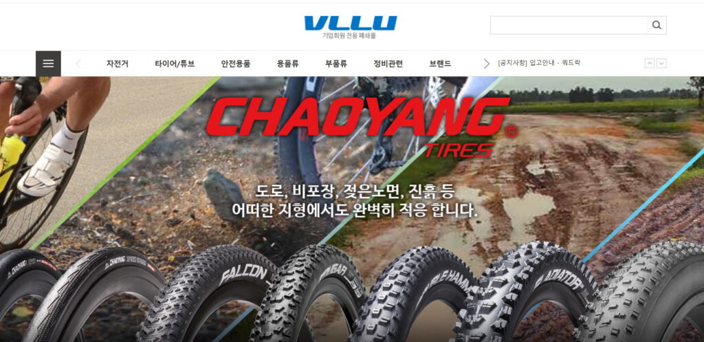 블루레포츠 블루레포츠