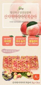 산지내몰