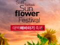 태백해바라기축제 - 백두대간 등마루에 해바라기 꽃이 피었습니다